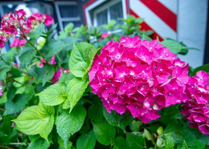 Lejlighed Gaestehaus Schmitz *